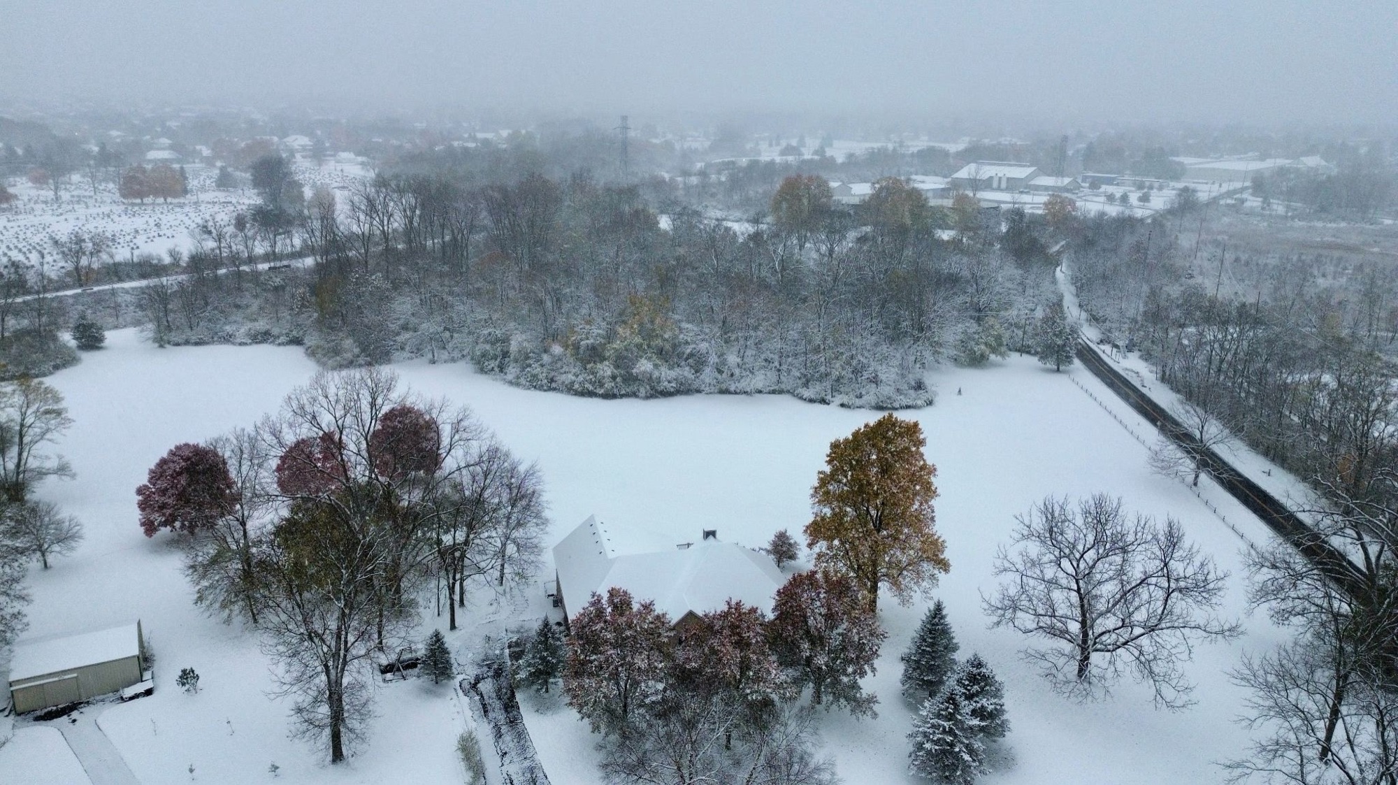 Snow-covered homes and trees